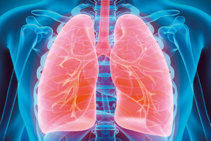 Medizinische 3D-Illustration der Lungen.